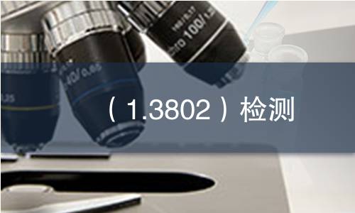（1.3802）检测