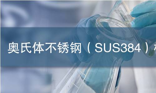 奥氏体不锈钢（SUS384）检测