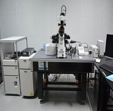 Zeiss 光学显微成像系统